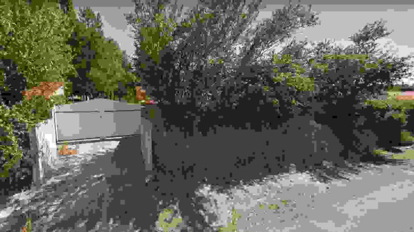 Capture.JPG